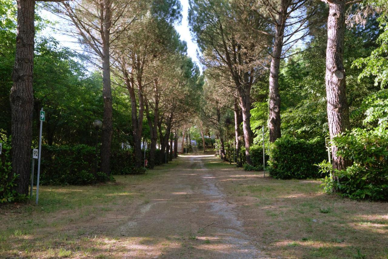 Camping La Chiocciola Hotel Capannole Exterior photo