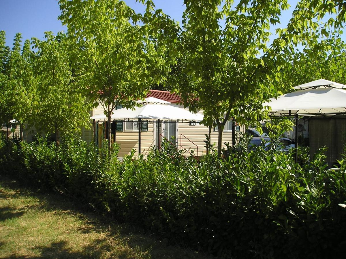 Camping La Chiocciola Hotel Capannole Exterior photo